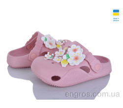 Кроксы Golden Lion